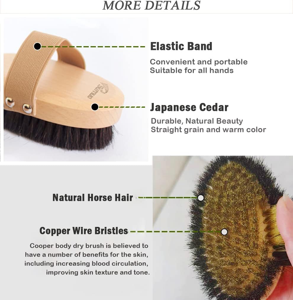 الملمس الجاف فرشاة سلك نحاسي خ - مراجعة Dry Brush Body وسعره